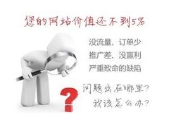 網(wǎng)站診斷