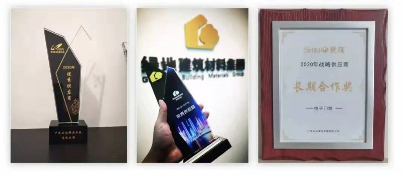 放在必達被眾多合作伙伴授予榮譽稱號的后面